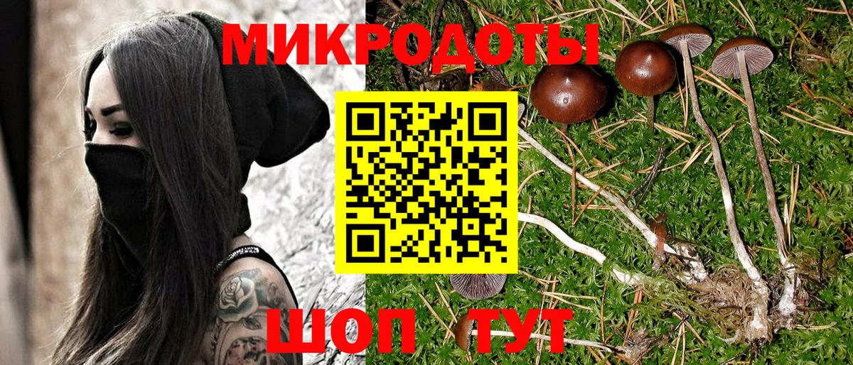 Псилоцибиновые грибы MAGIC MUSHROOMS Сосновоборск