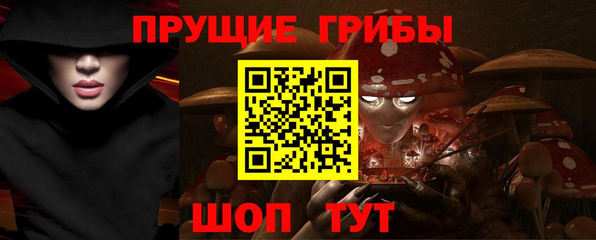 закладки  Вход с VPN  Сосновоборск  Псилоцибиновые грибы прущие грибы 