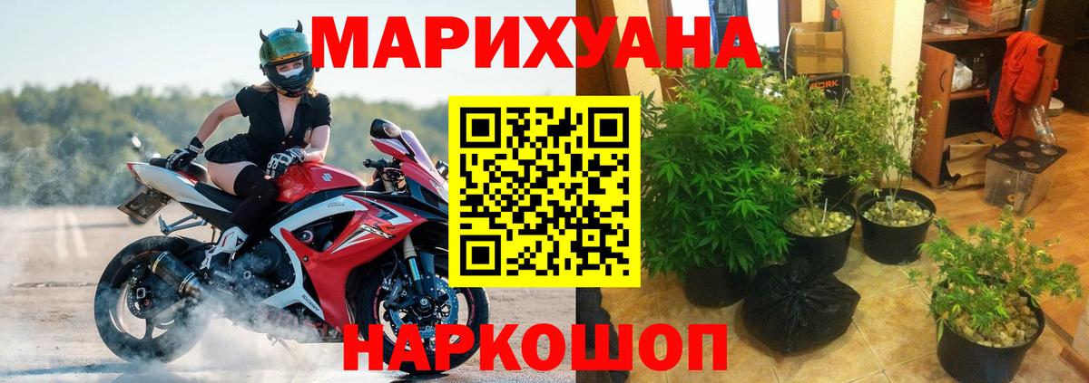Бошки Шишки OG Kush Сосновоборск